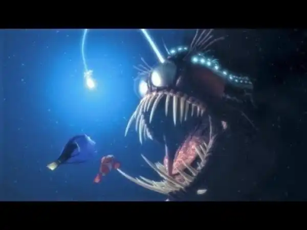 Video: Nature’s Wildest Physical Attributes